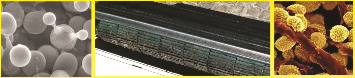 25_mould_spores_air_conditioning_algarve.jpg
